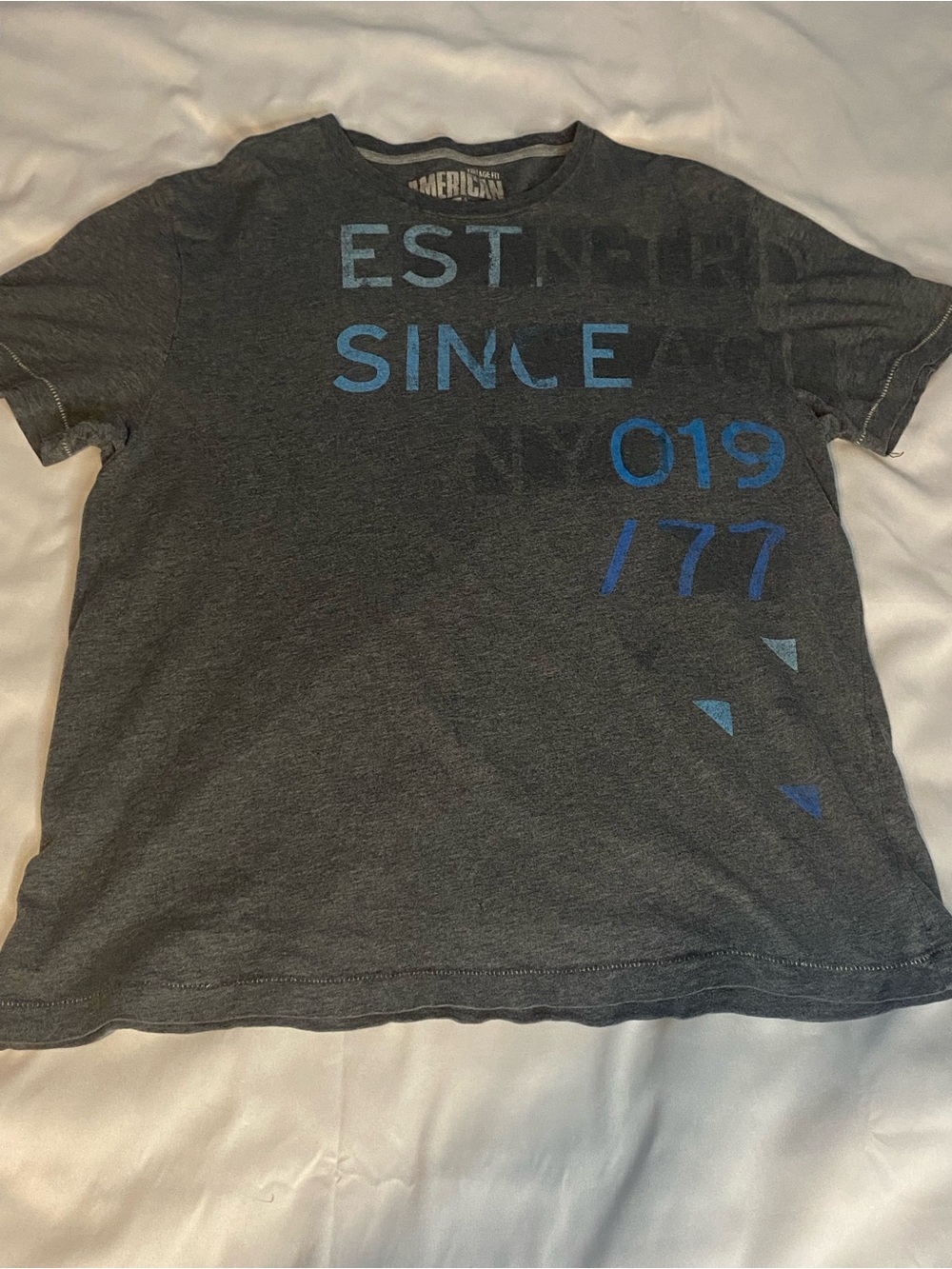 American Eagle Outfitters Vintage Fit Graphic Logo T-Shirt Gray Crew L Cotton